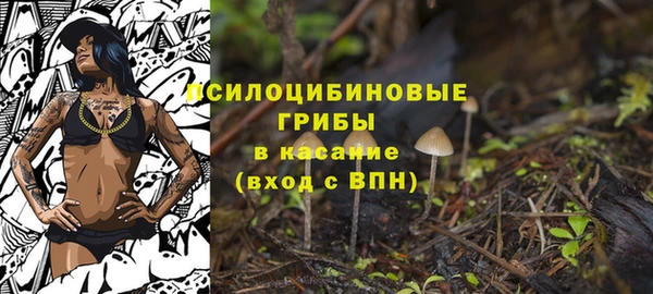 бошки Абаза