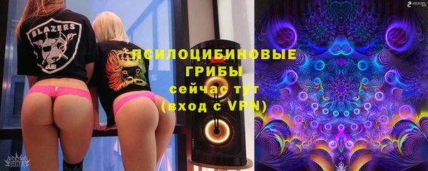 бошки Абаза
