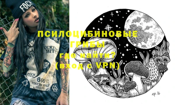 бошки Абаза
