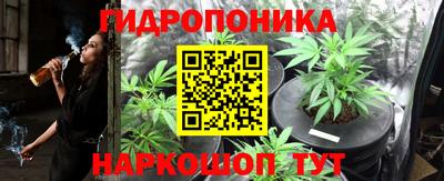 прущие грибы Анапа