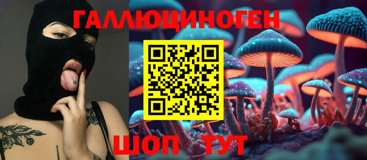 Псилоцибиновые грибы Psilocybe Краснокамск